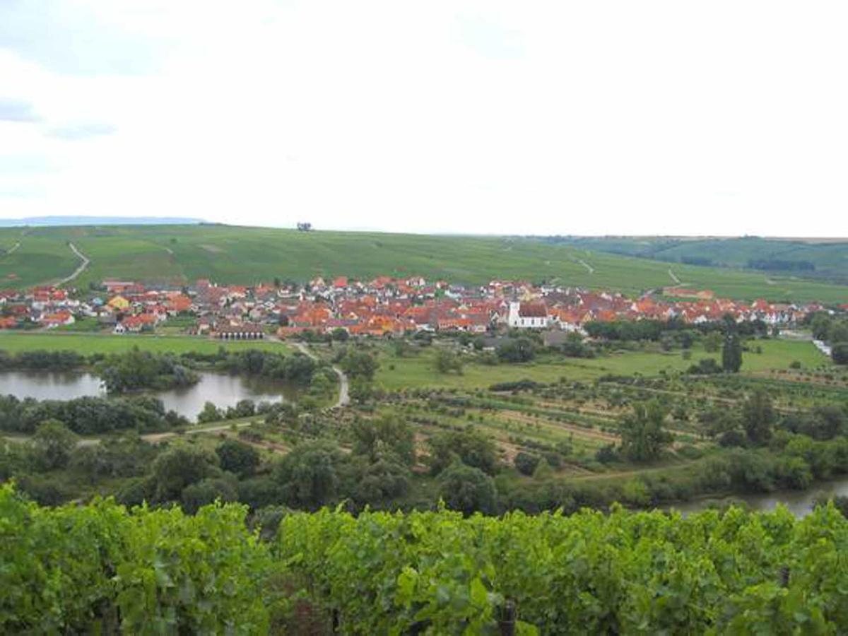 Ferien- Und Winzerhof Ute Braun Nordheim am Main Exterior foto