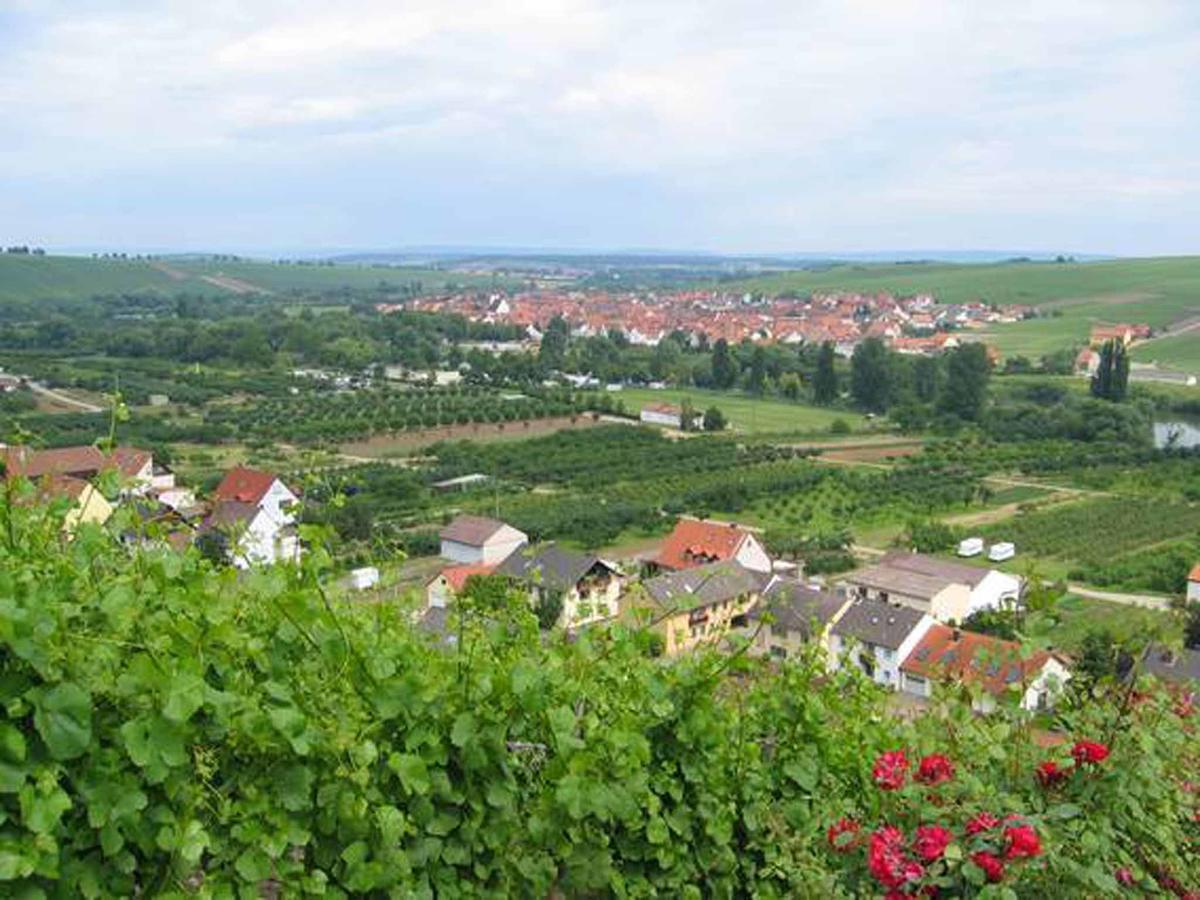 Ferien- Und Winzerhof Ute Braun Nordheim am Main Exterior foto
